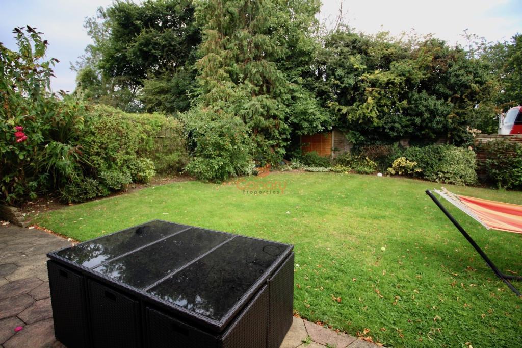 Image 14