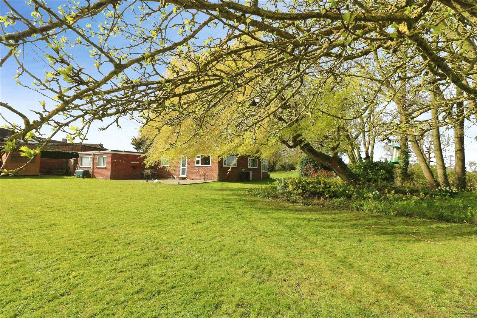Property Image d57b6f94-e9b7-491b-aa85-c9b57ee127fd