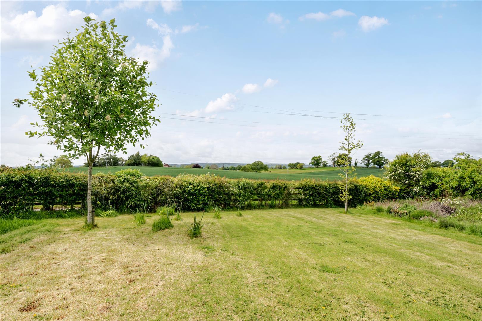 Property Image d5a18831-2c46-4a98-83cb-87717c5ec828