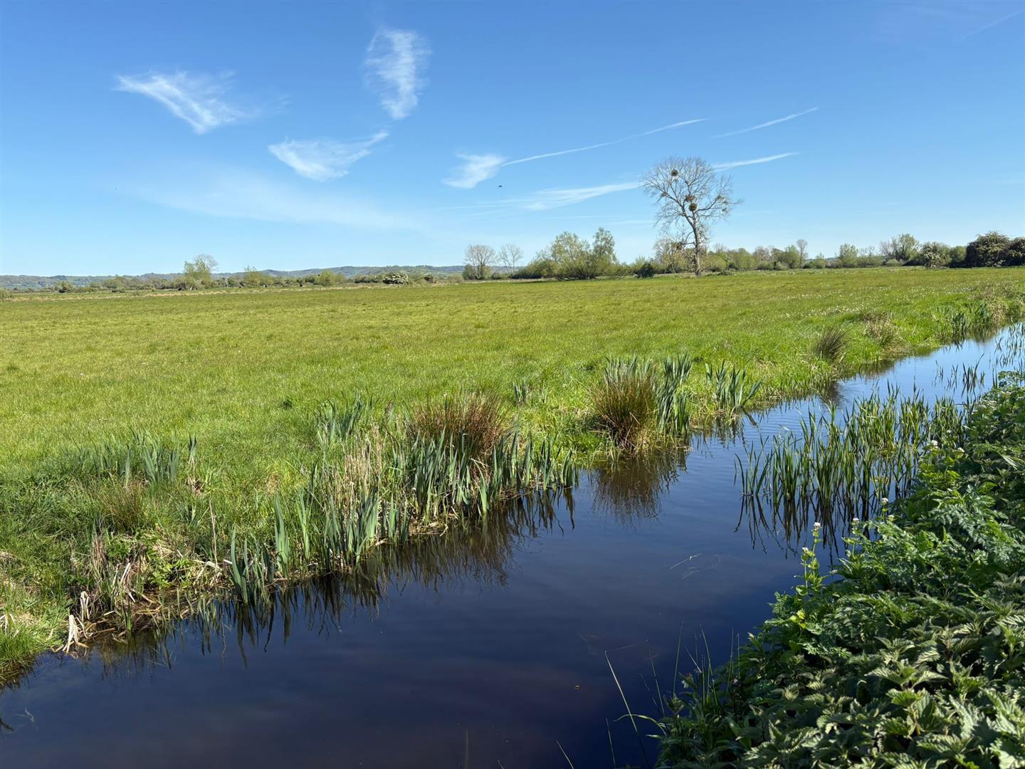 Property Image d5fec3bf-5746-43da-ab0f-098f48adea57