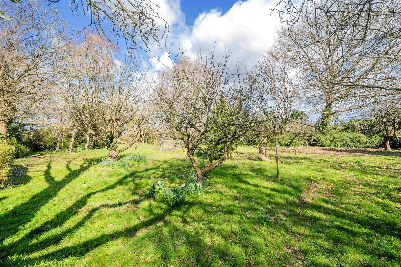 Property Image d6087eea-977a-4b54-9215-910484d84a54