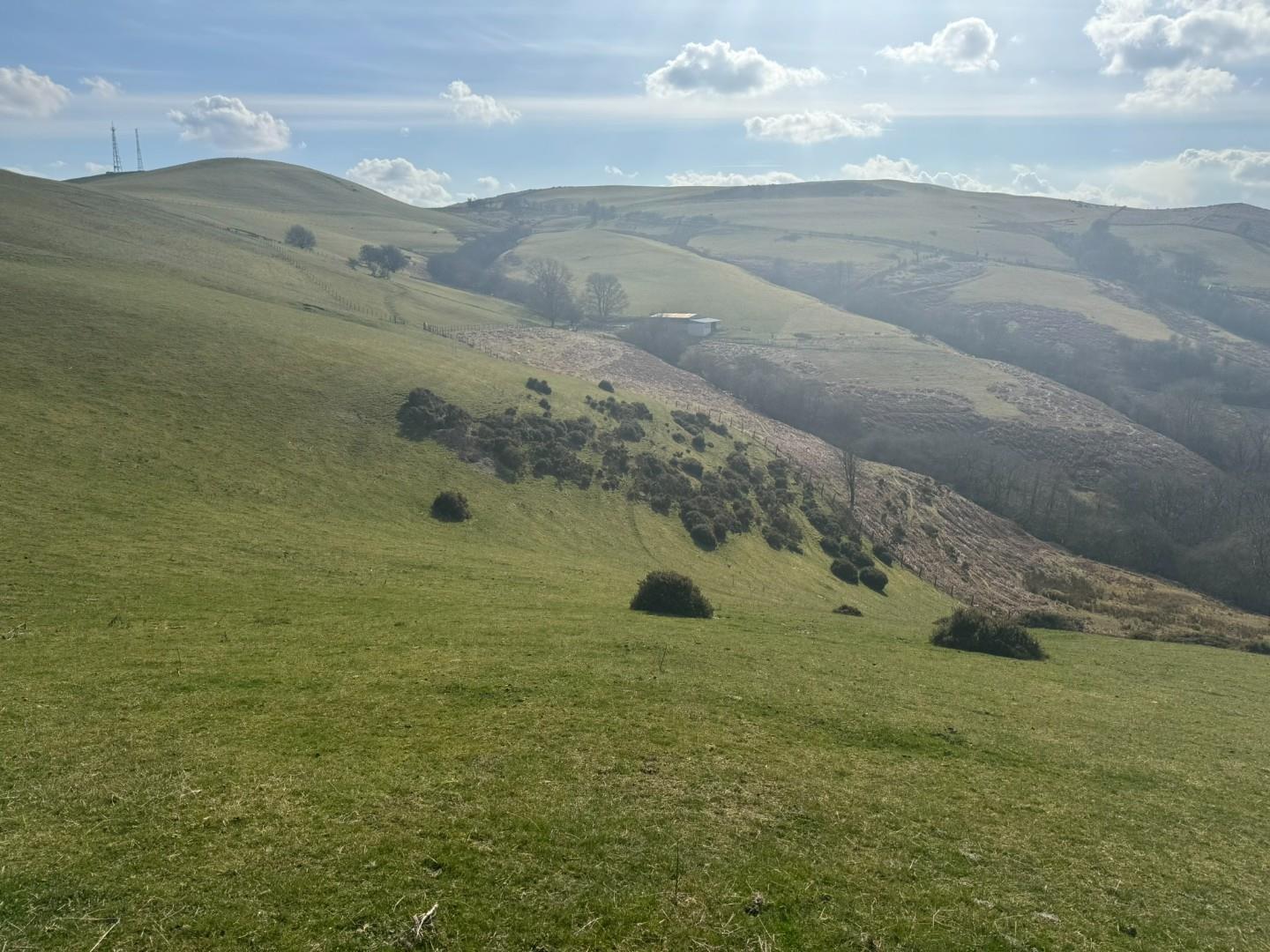 Property Image d60affab-3f83-4b07-82d5-67f667583dbc