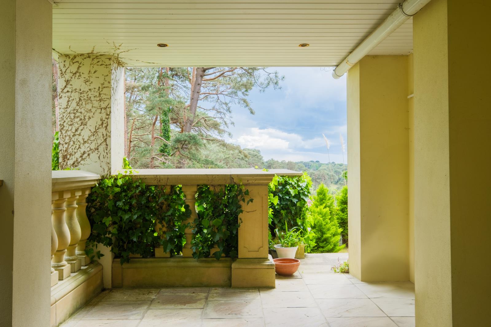 Property Image d62085ed-a130-43f8-b09d-ba33882d6ffc