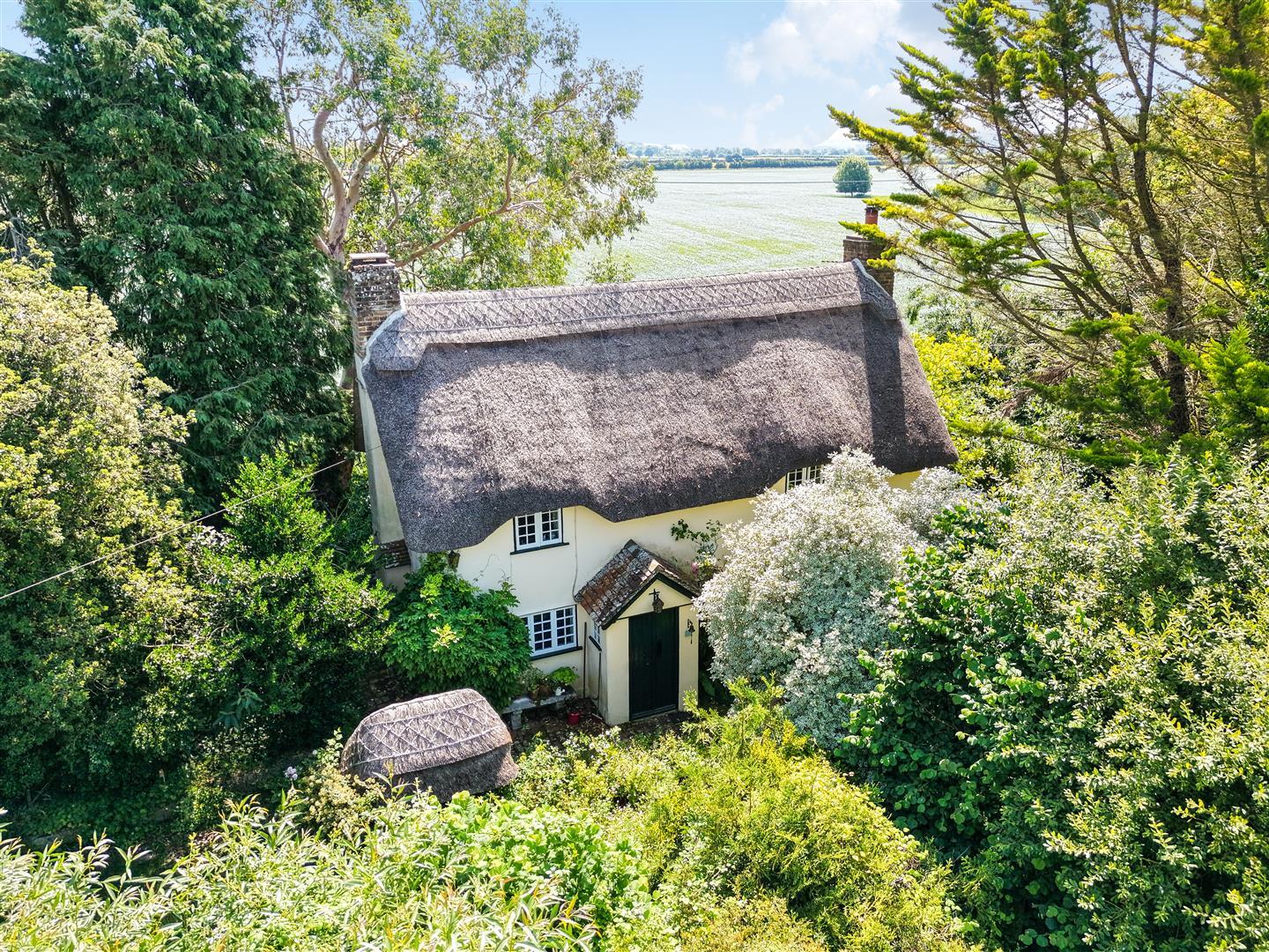 Property Image d6448ba8-d501-4e68-91c6-dd481d0bab53