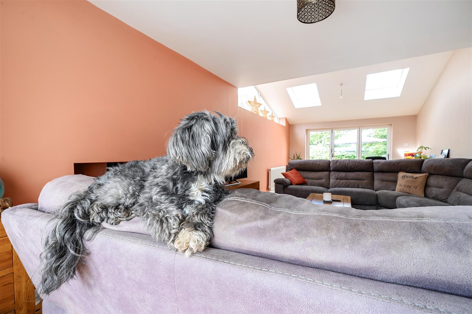 Property Image d665ebeb-f281-42fa-abee-1f71d1b0bd34