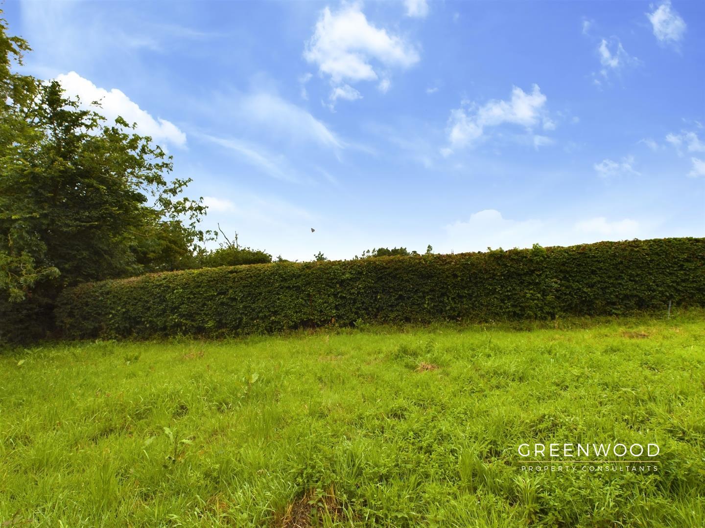 Image 29