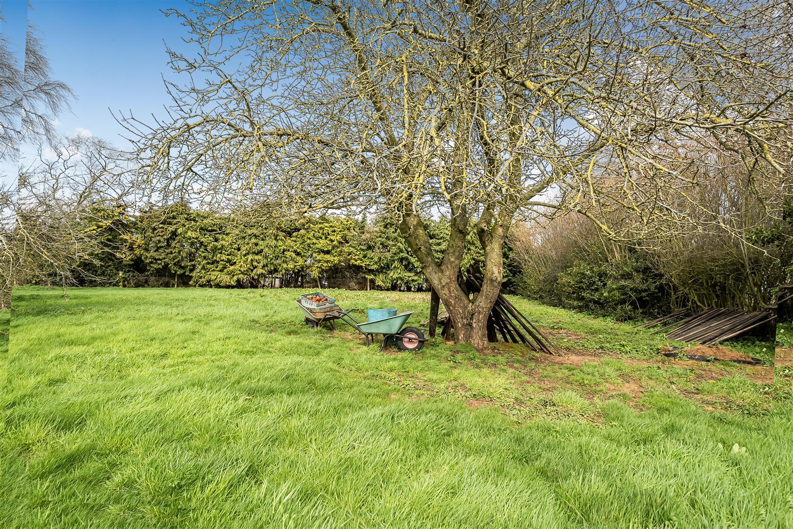 Property Image d67dfbb5-334b-4f32-b00f-6fada994b04b
