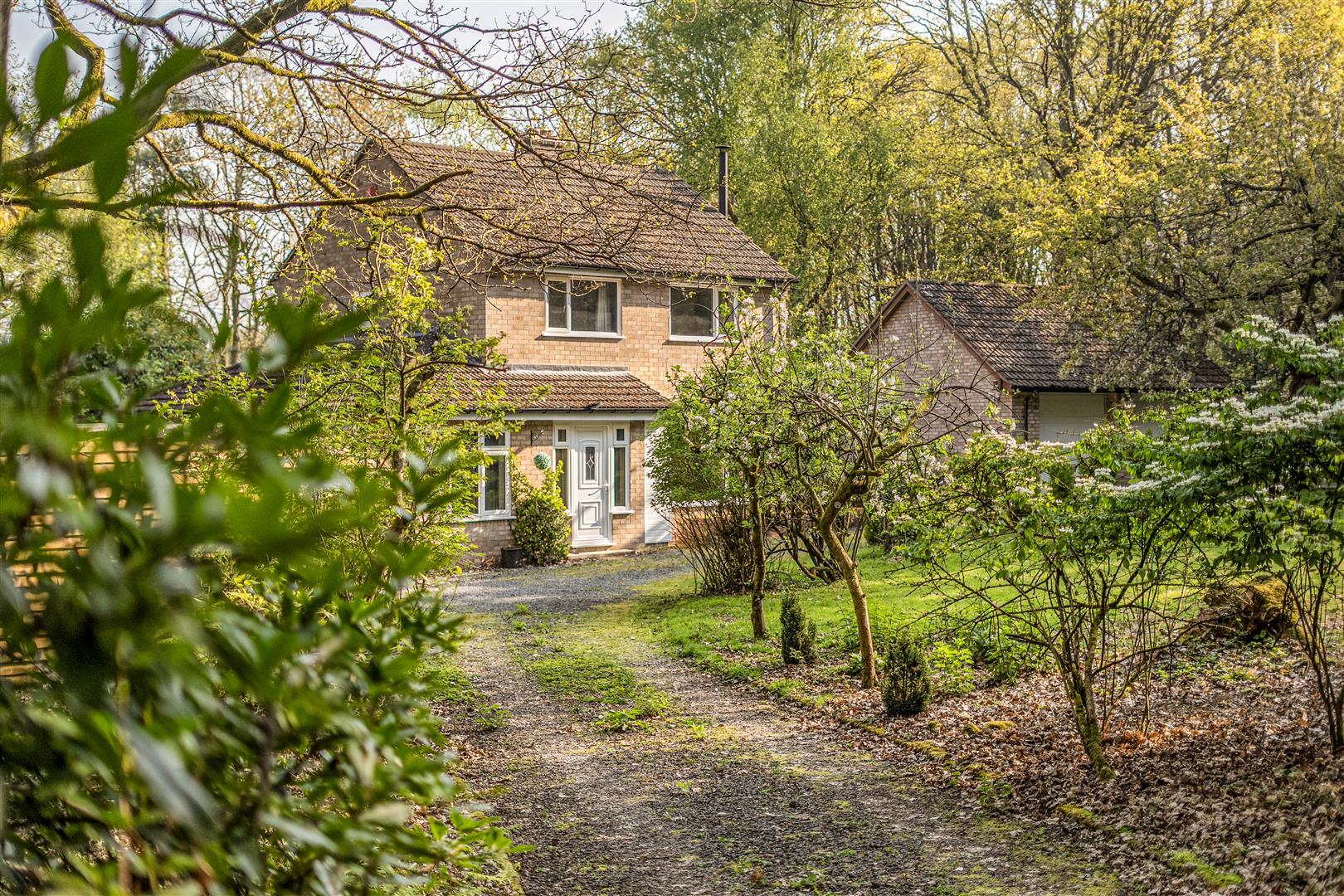 Property Image d68f5bef-1bc6-4329-8707-762ce666fc34