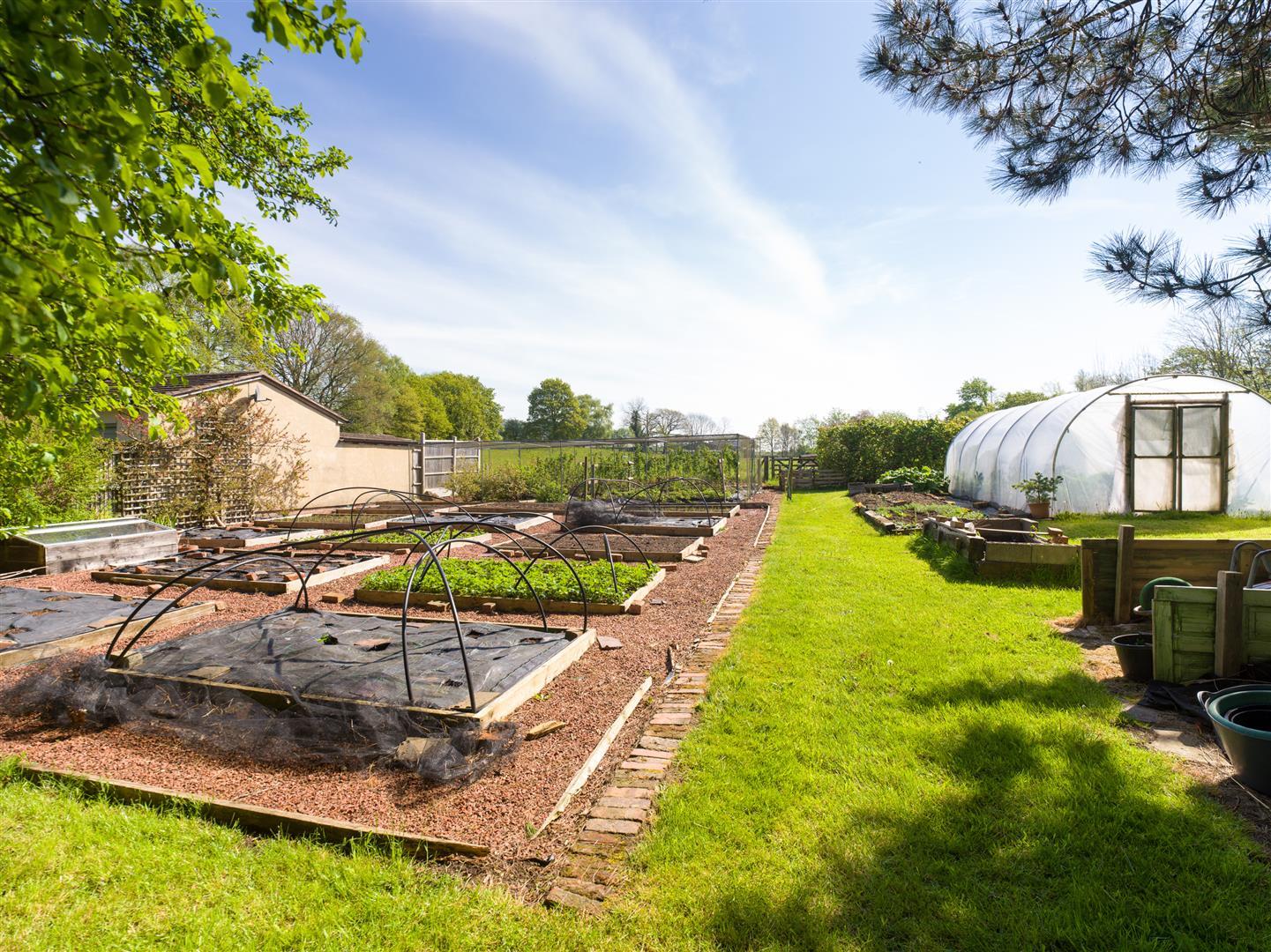 Property Image d6ae0629-3c8a-4c19-a986-a4d0843a30d6