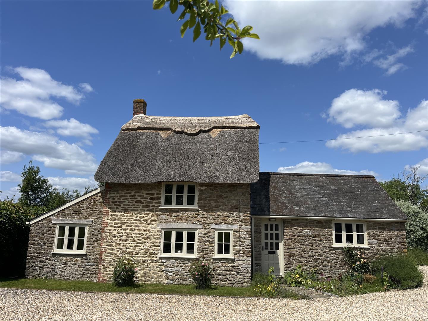 Property Image d6e36d03-9b6a-4389-b836-ddeaa11827fe
