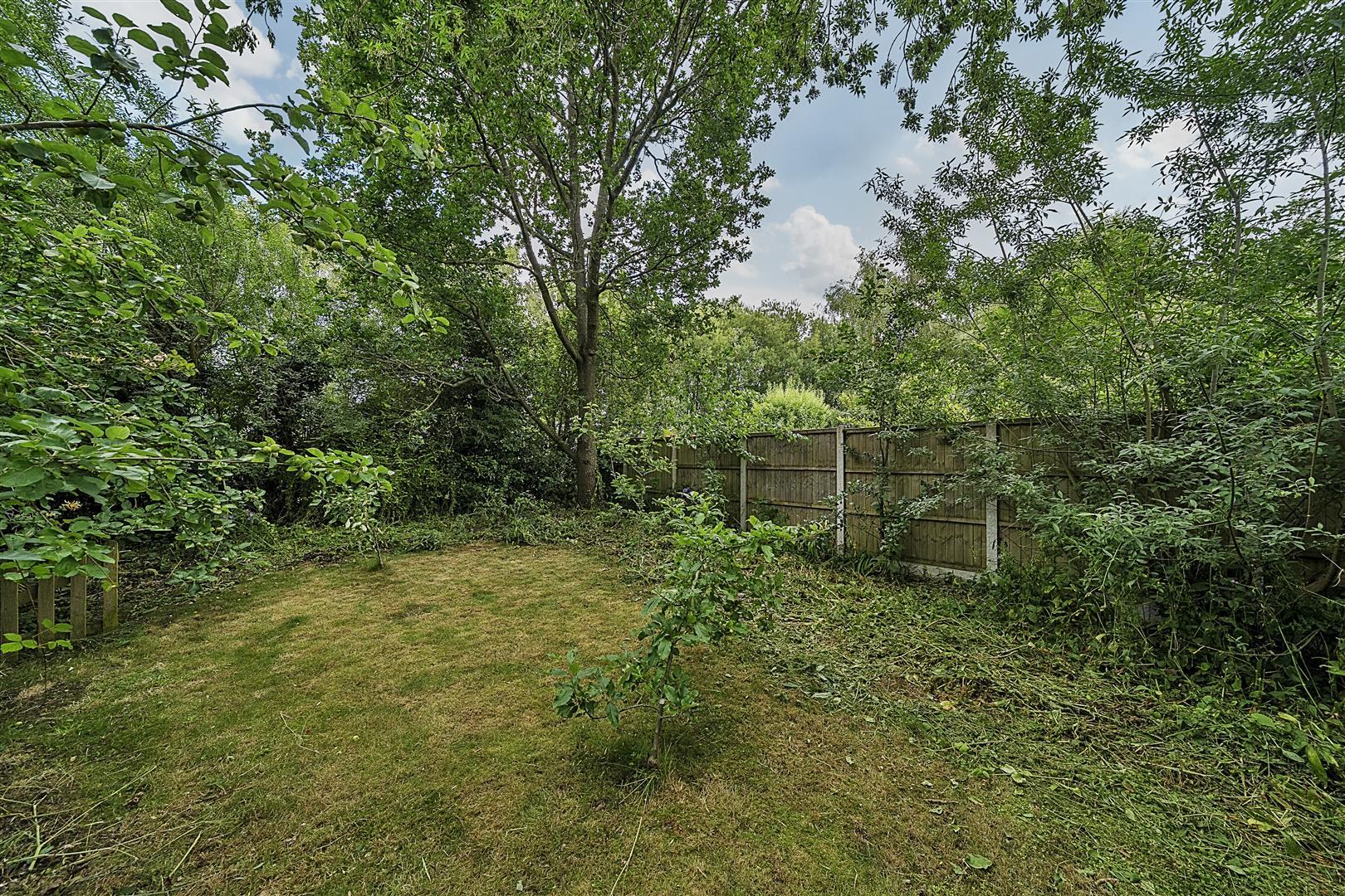 Property Image d6e58bb7-7b62-4539-855f-603b0d377b4b