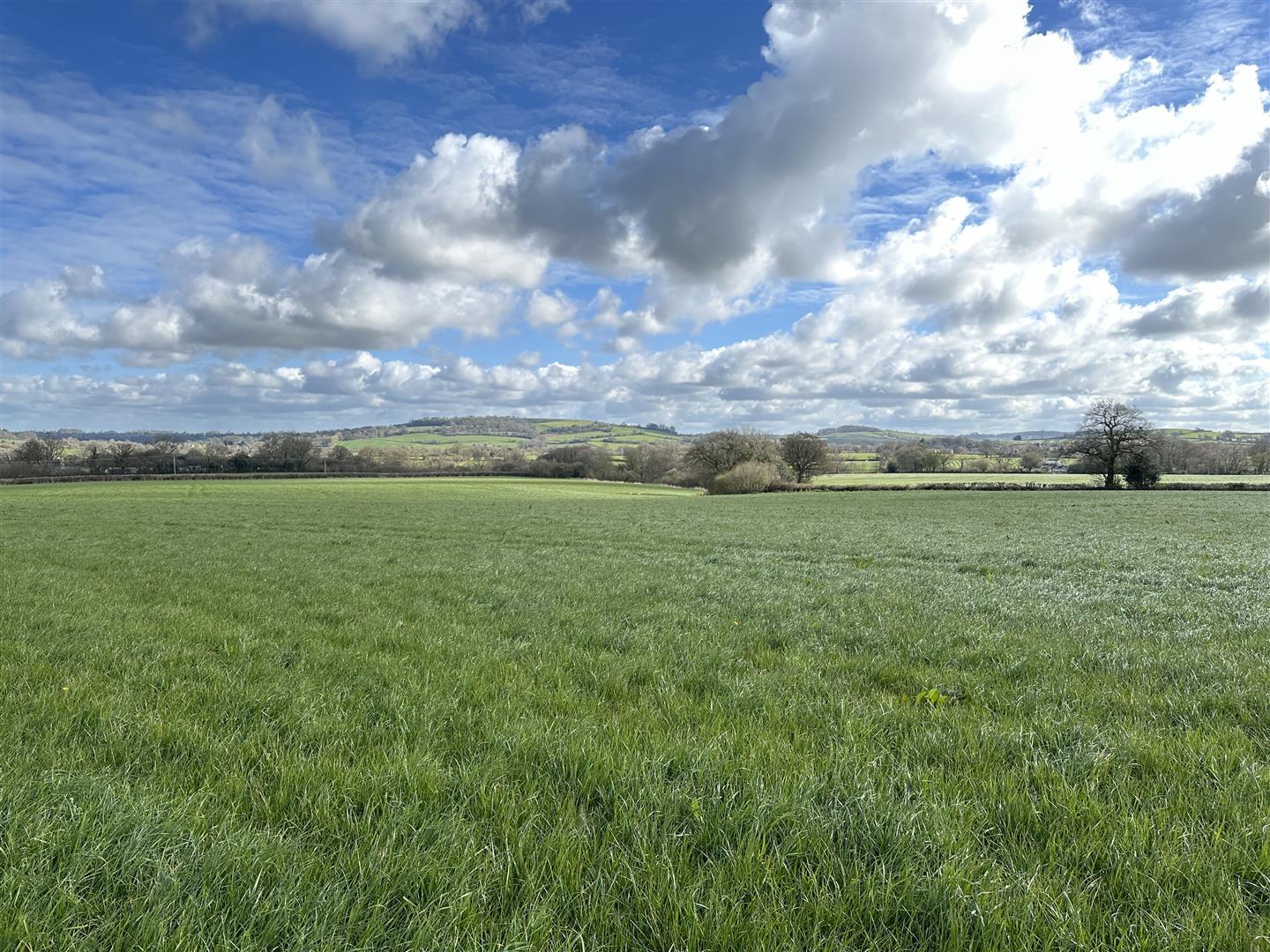 Property Image d70ae08f-329b-4b31-950f-08cc74524624