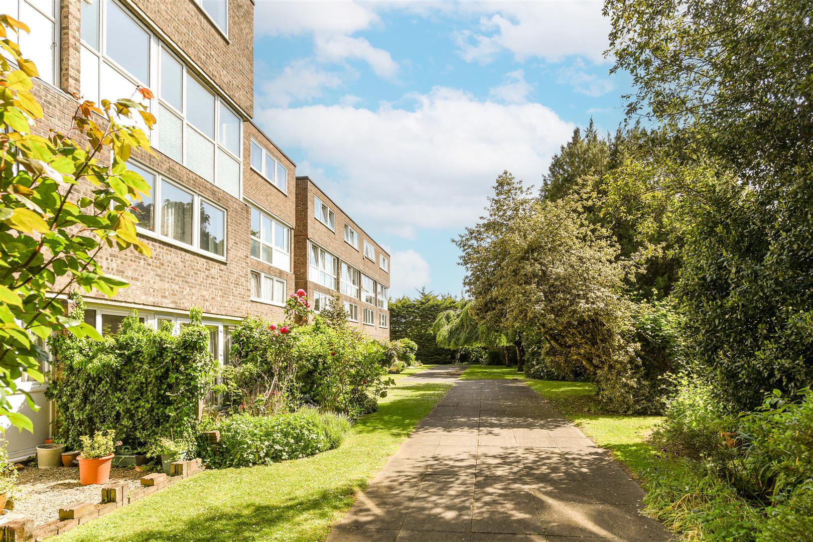 Property Image d7109ce3-6a13-4f3d-b8c0-81a5390dcff1