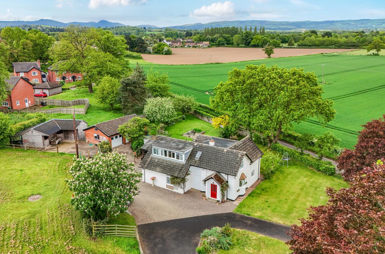 Property Image d728e476-779c-40a1-8d6c-3211c7c059bd