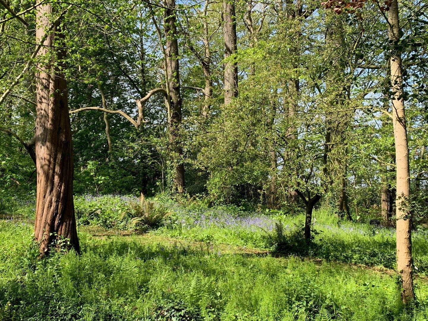 Property Image d72902d5-d1bb-404a-a85b-04e9c738982e