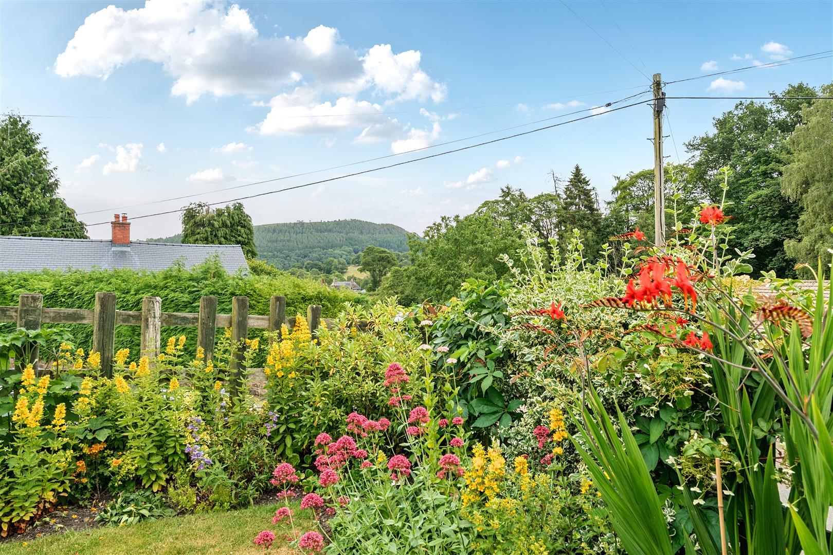 Property Image d769b3a2-1708-480a-9988-81dce0cd4889