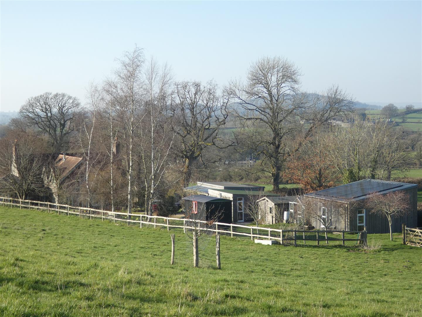 Image 31
