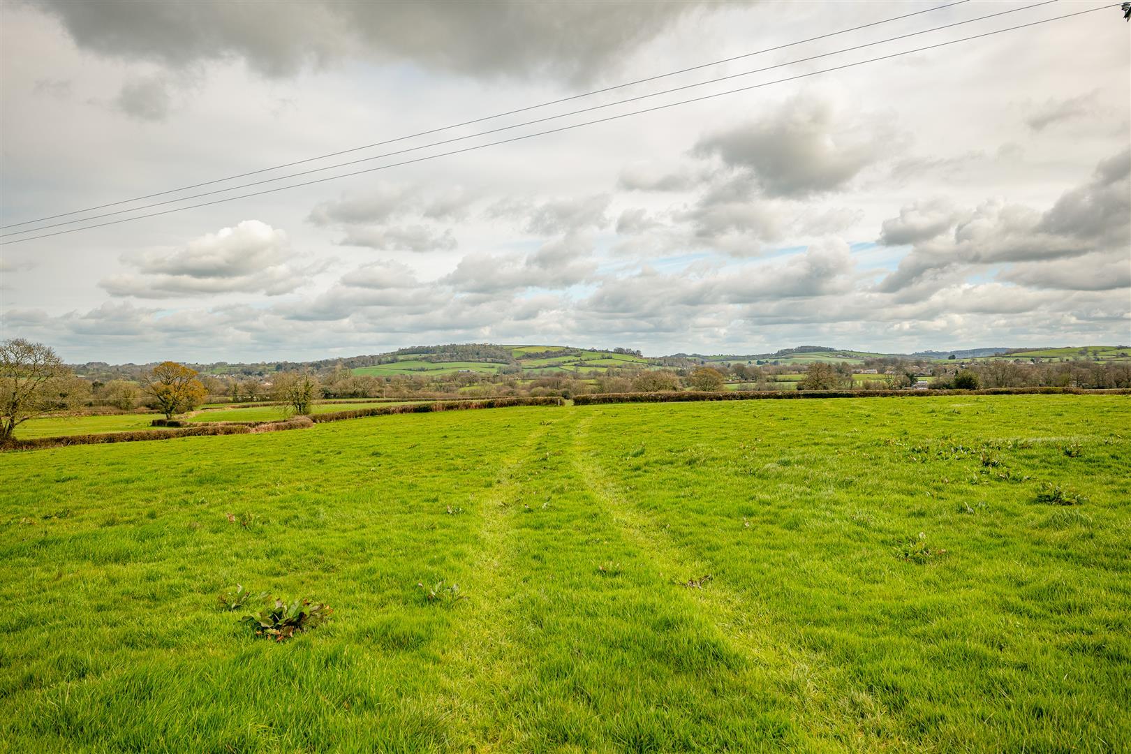 Property Image d779d8c2-3284-4955-9d6d-c247d4806e3a