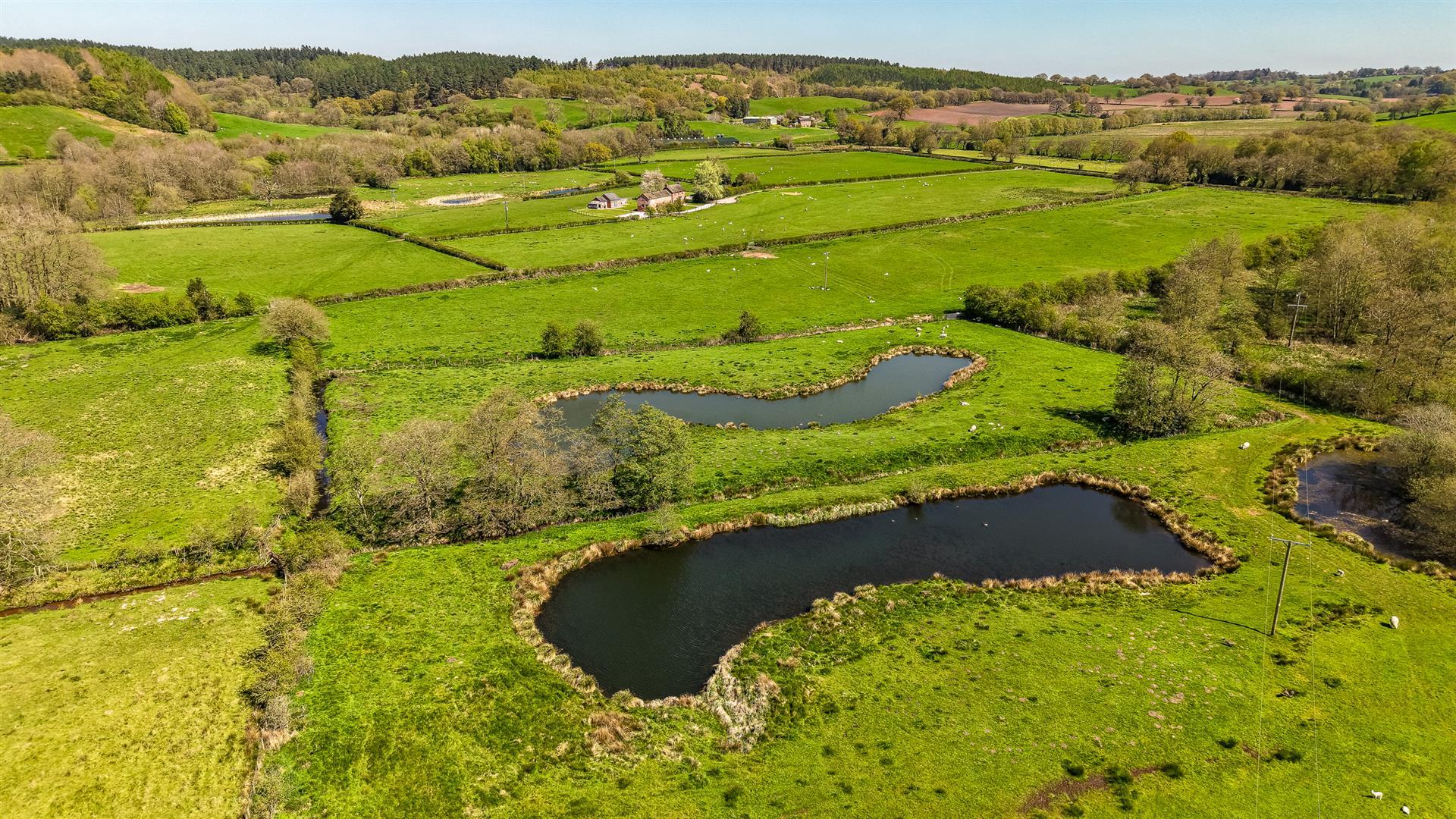 Property Image d77fa9e0-330d-4f19-8ea5-ba046294b99a