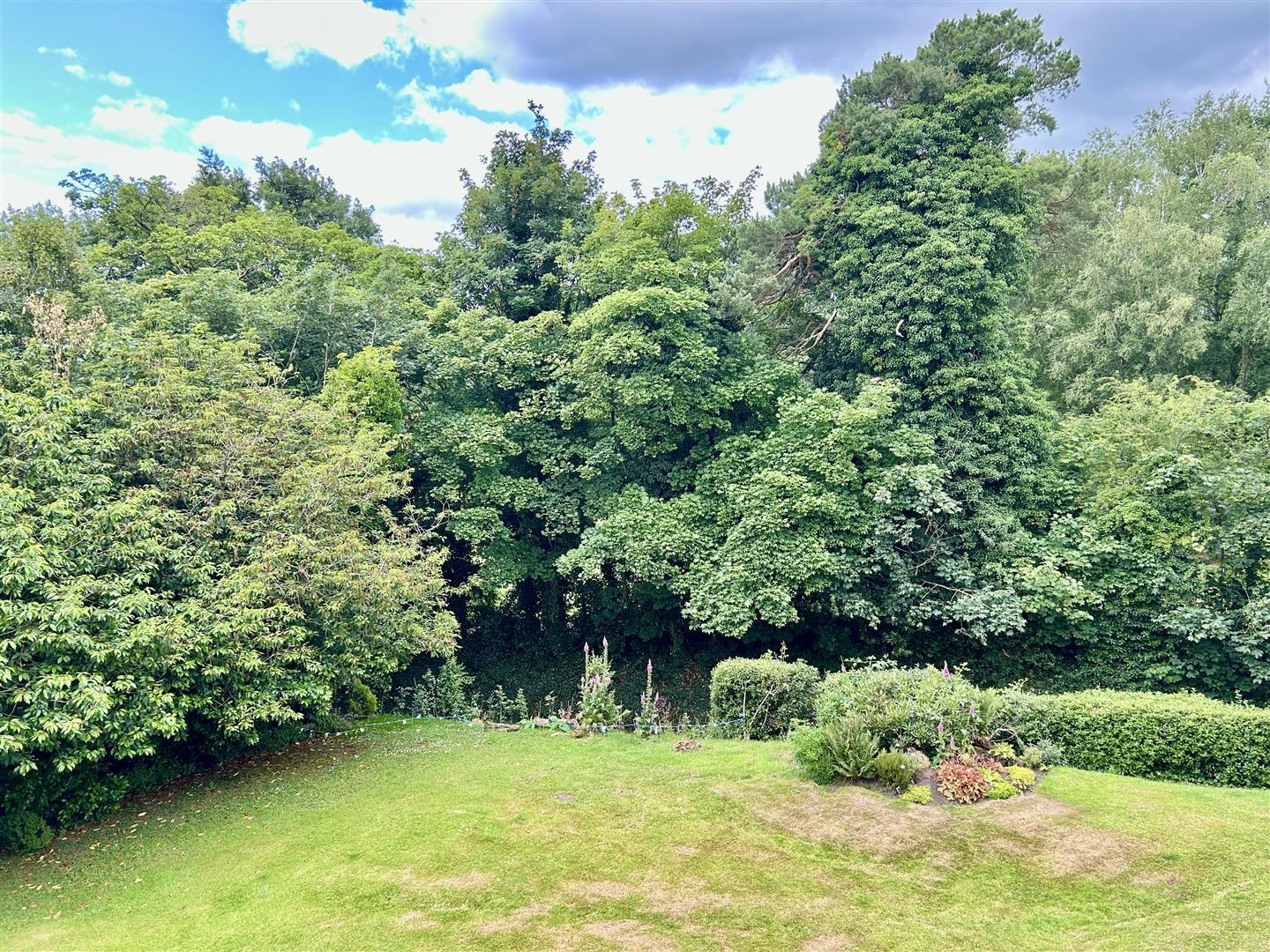 Property Image d7ab4c7e-9eba-4d96-88e1-0d8c4db7d7f3
