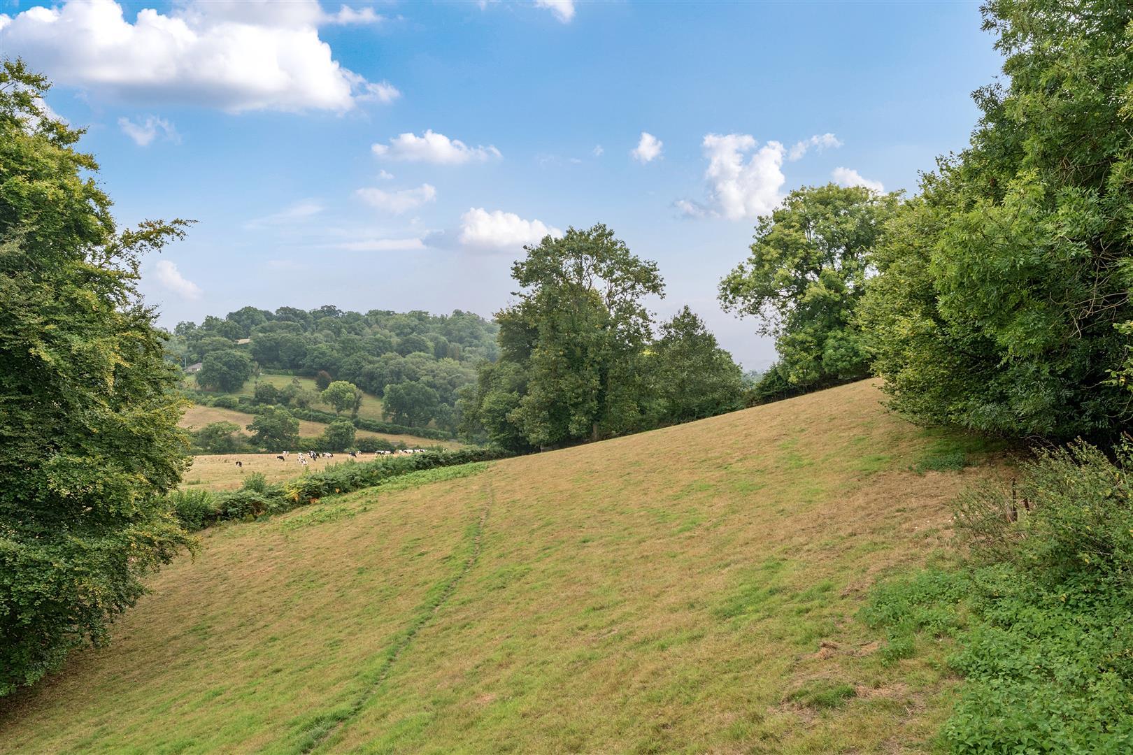 Property Image d7b47c28-2e05-4405-9f4e-9f4283161dcb