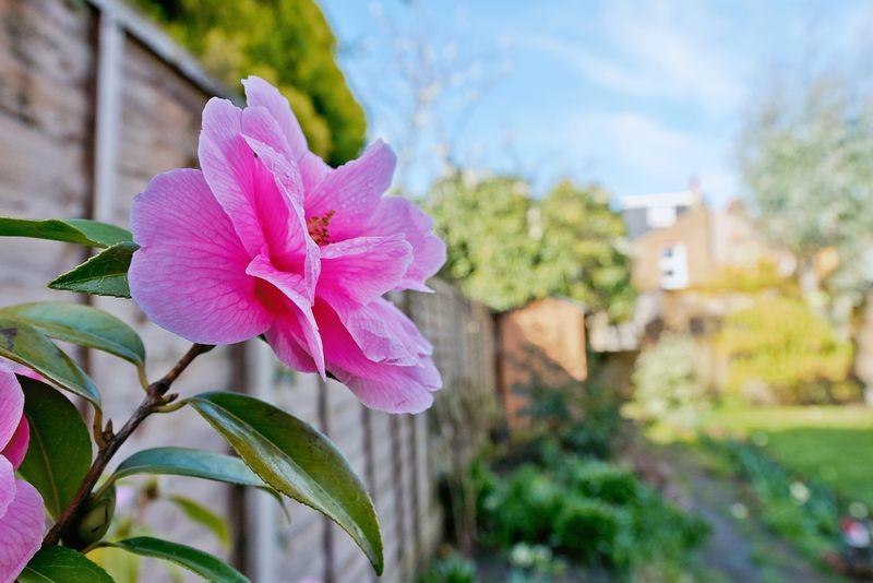 Property Image d7f47a59-ded9-4d63-9c0b-00daa00fd841