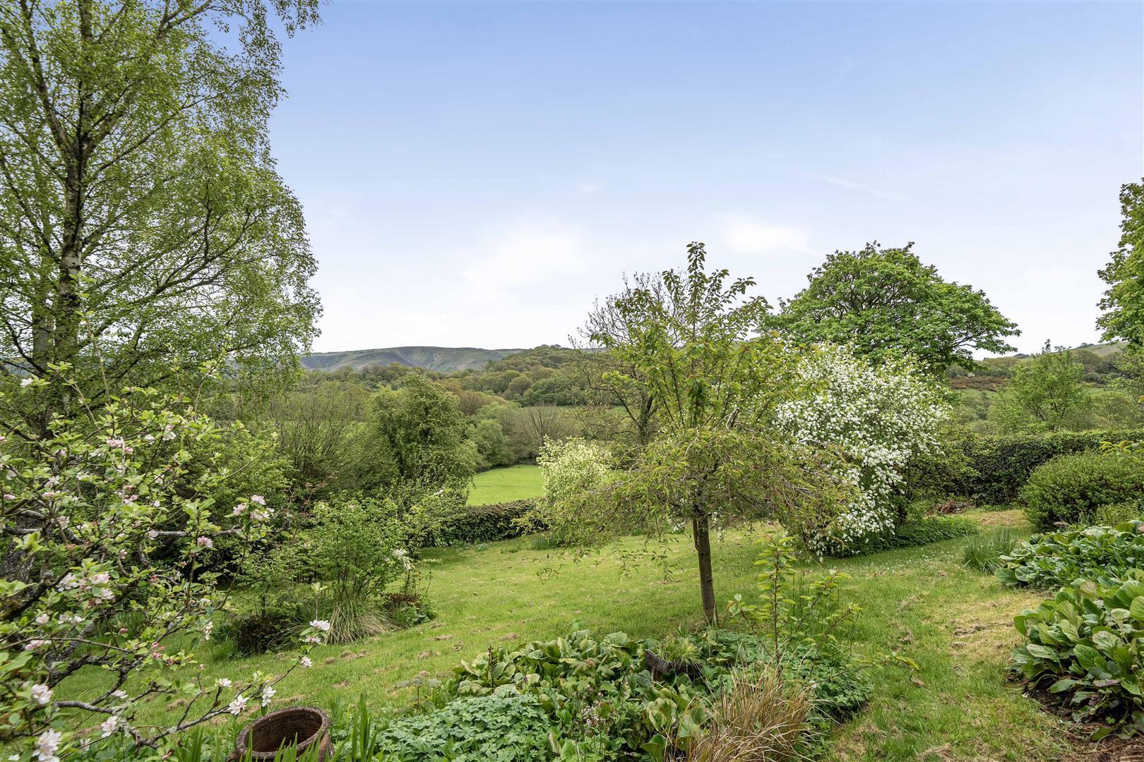 Property Image d815c2c7-2044-4d36-bba1-9e9a9b2006b4