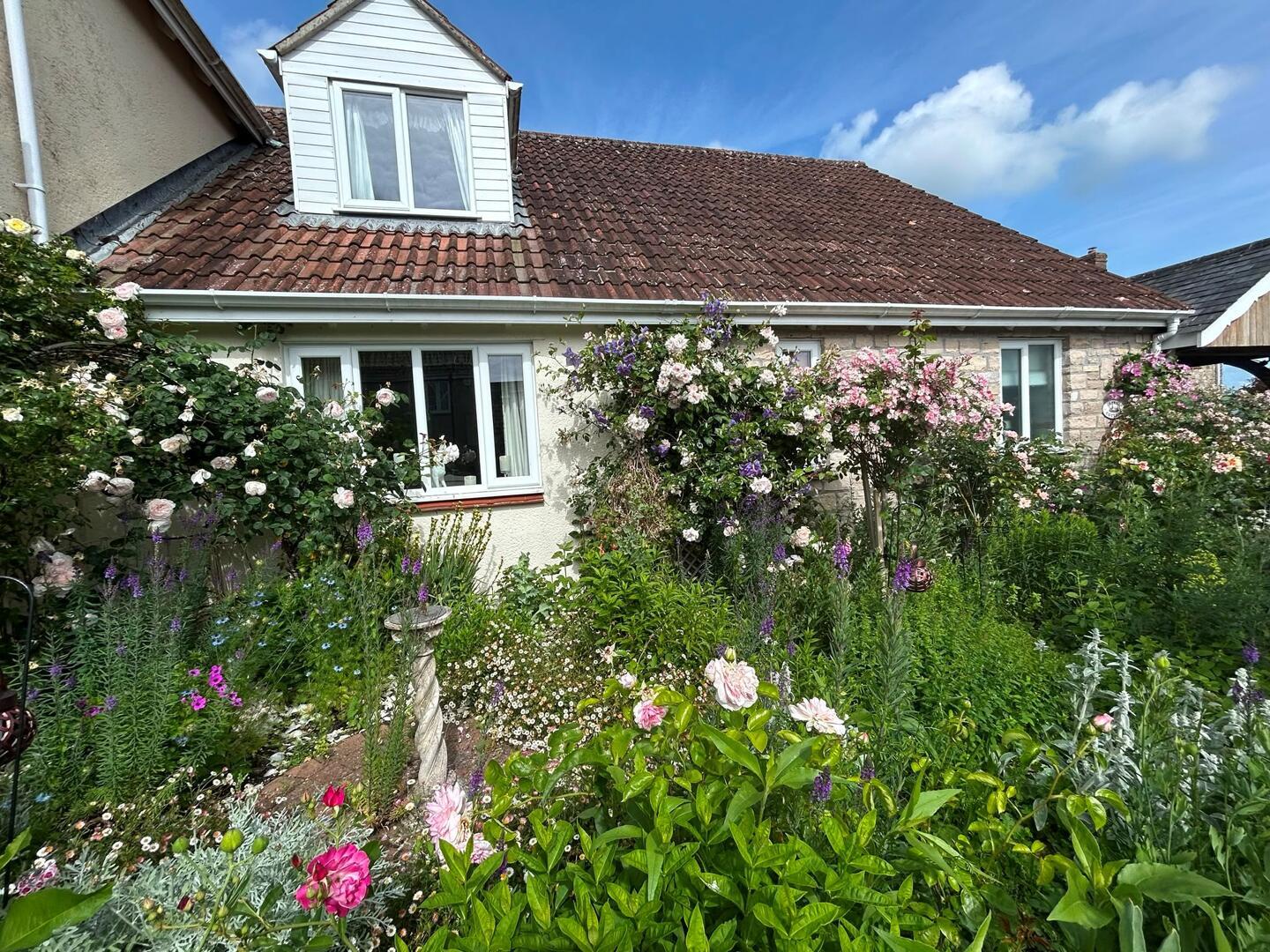 Property Image d84add4a-6c9d-460c-8963-5088e48230cf