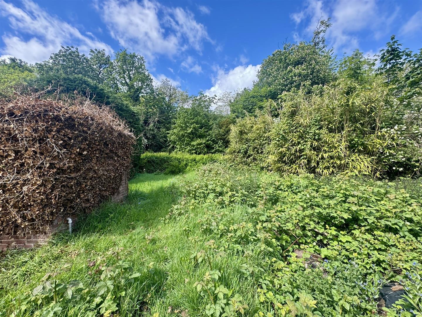 Property Image d8556d9f-7c5f-4b39-b172-d3f453ed5a4d