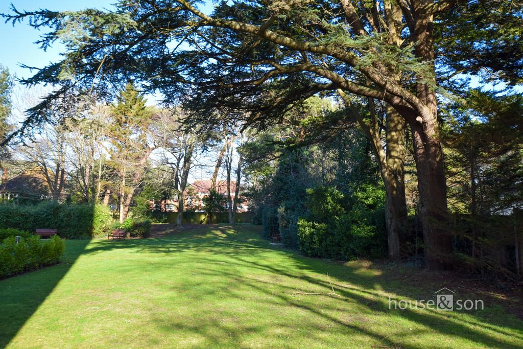 Property Image d889fba2-d02b-4418-8b0c-678f8eebc55d