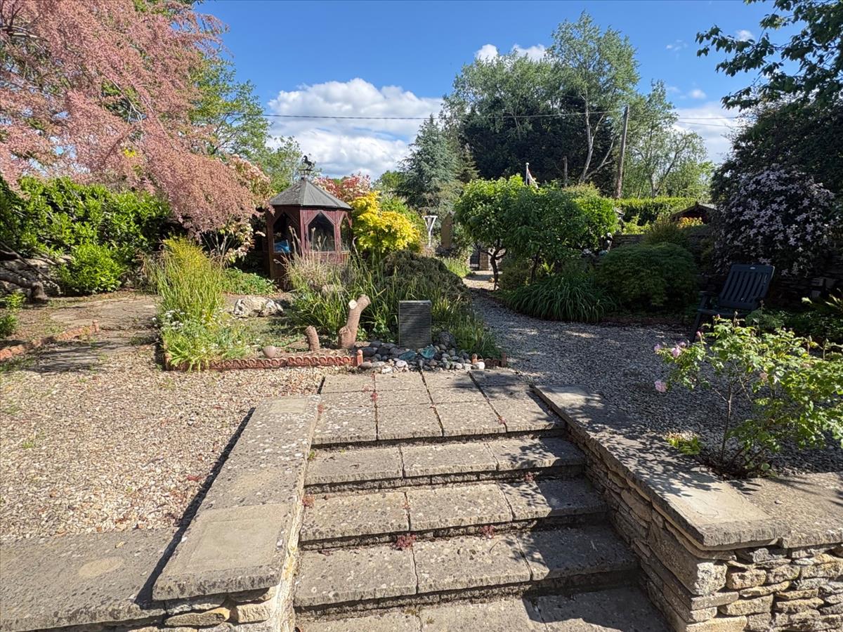 Image 14