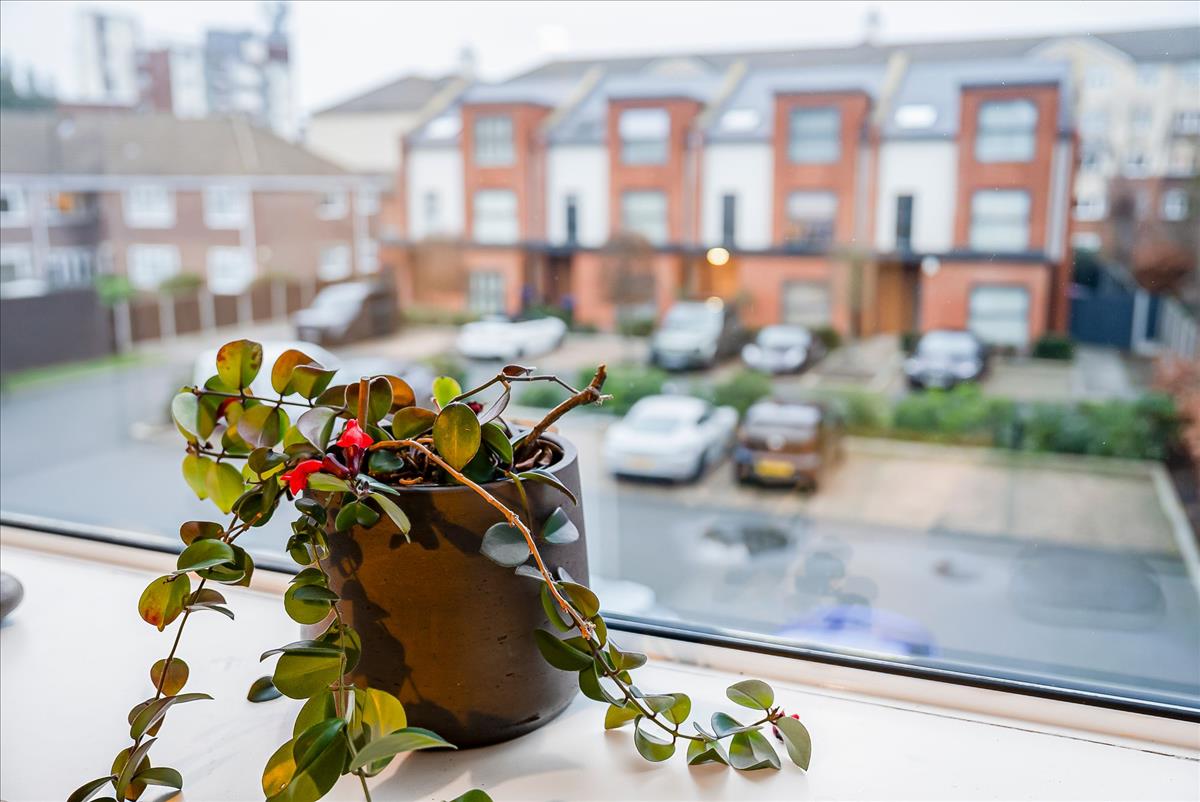 Property Image d89578df-82bf-420f-9ec0-3536f721083b