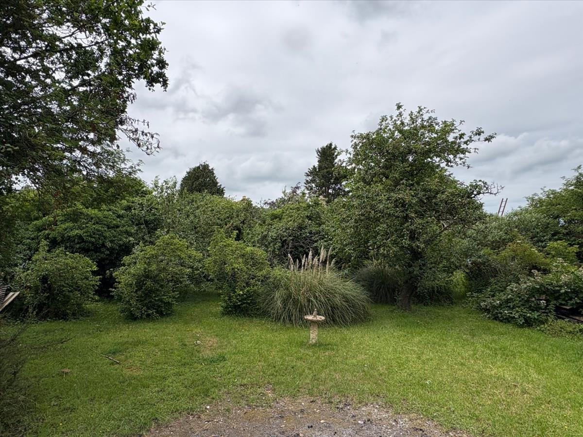 Property Image d8a89093-d81e-493b-b87a-a1813c63e45d