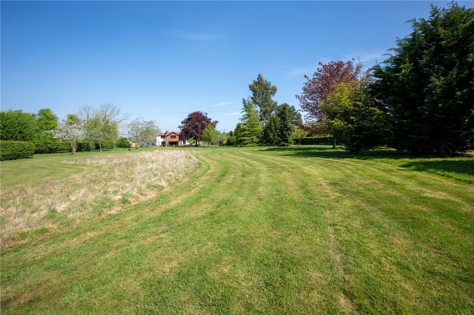 Image 30