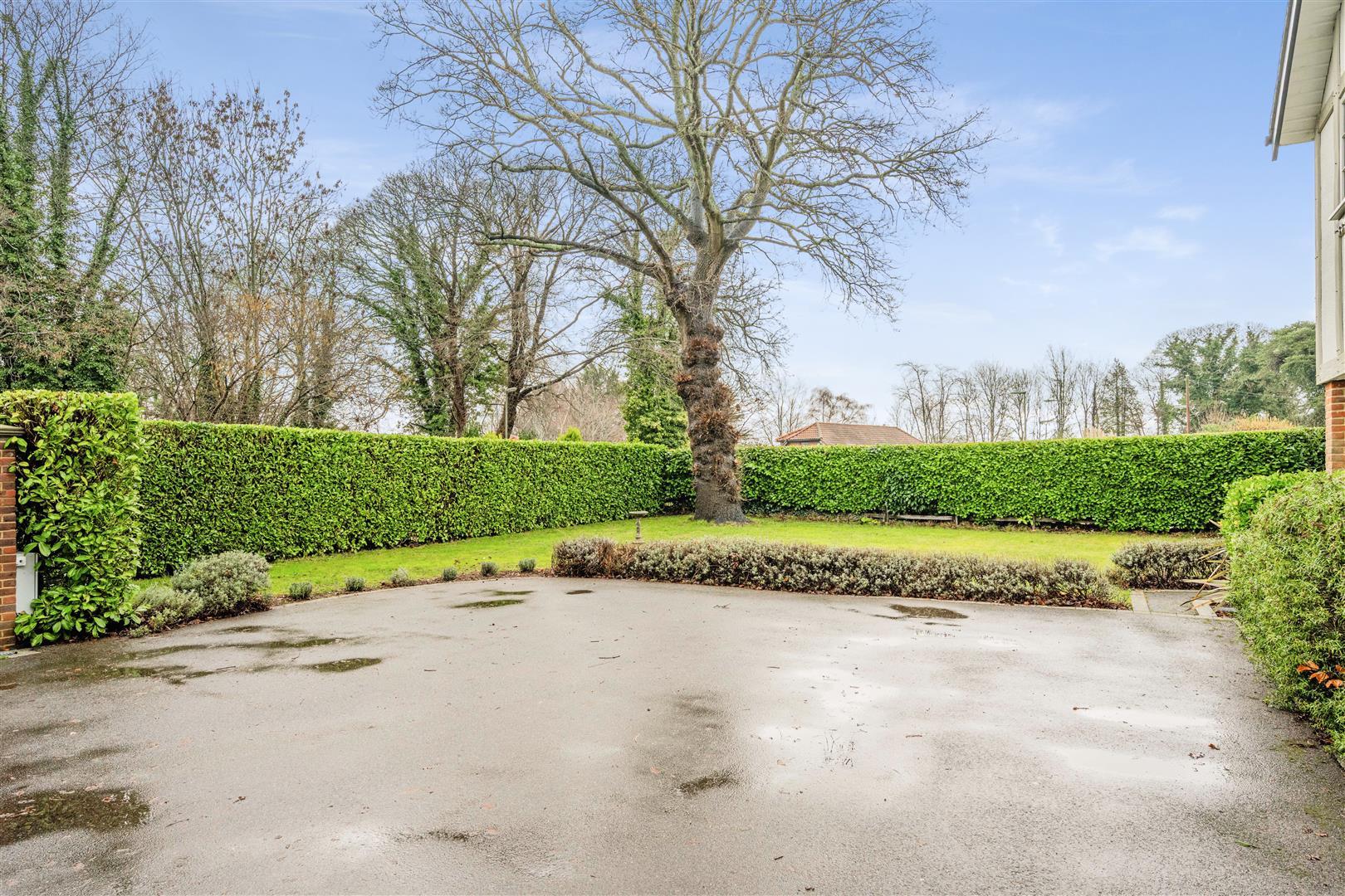 Property Image d8b169d2-f84d-4824-962f-aa8a9b8ab112