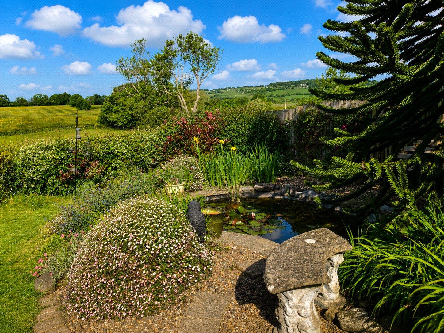 Property Image d8c6c31b-b4ad-4431-aa4e-547eefb96bc0