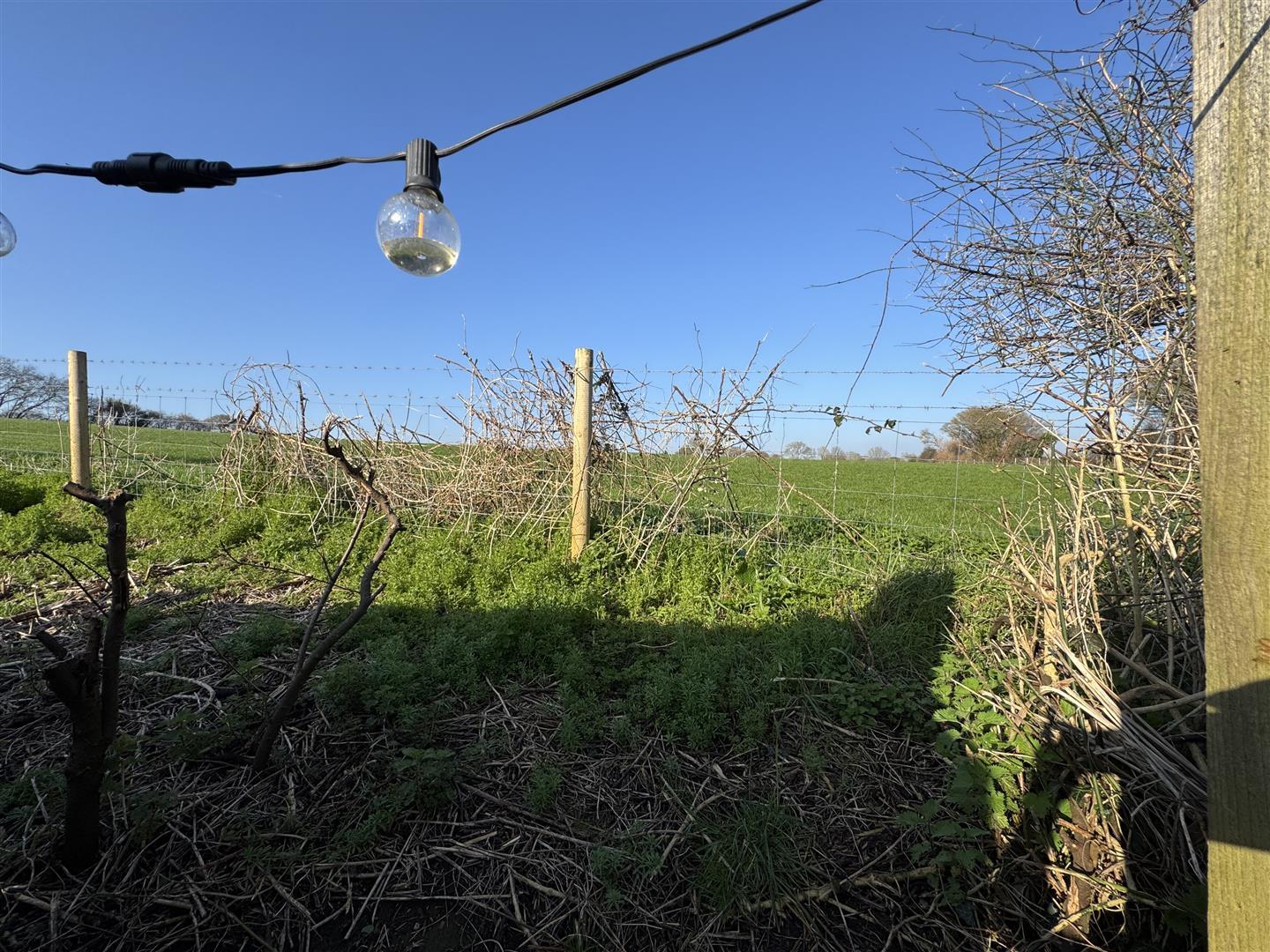 Property Image d8d04951-ba01-43cf-b65b-55fc07b8b77e