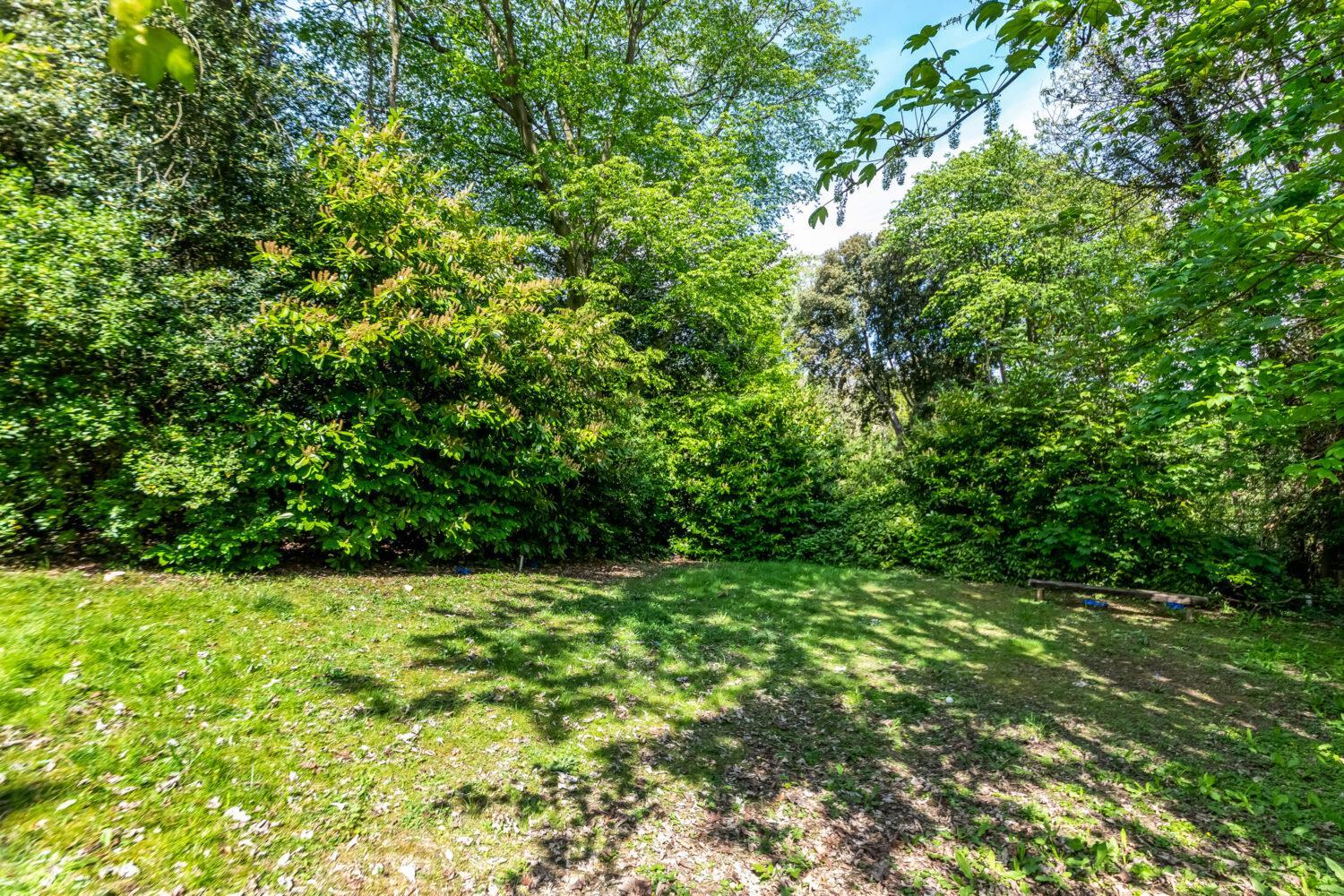 Property Image d8df3e58-e875-490e-a520-055eb30456ea
