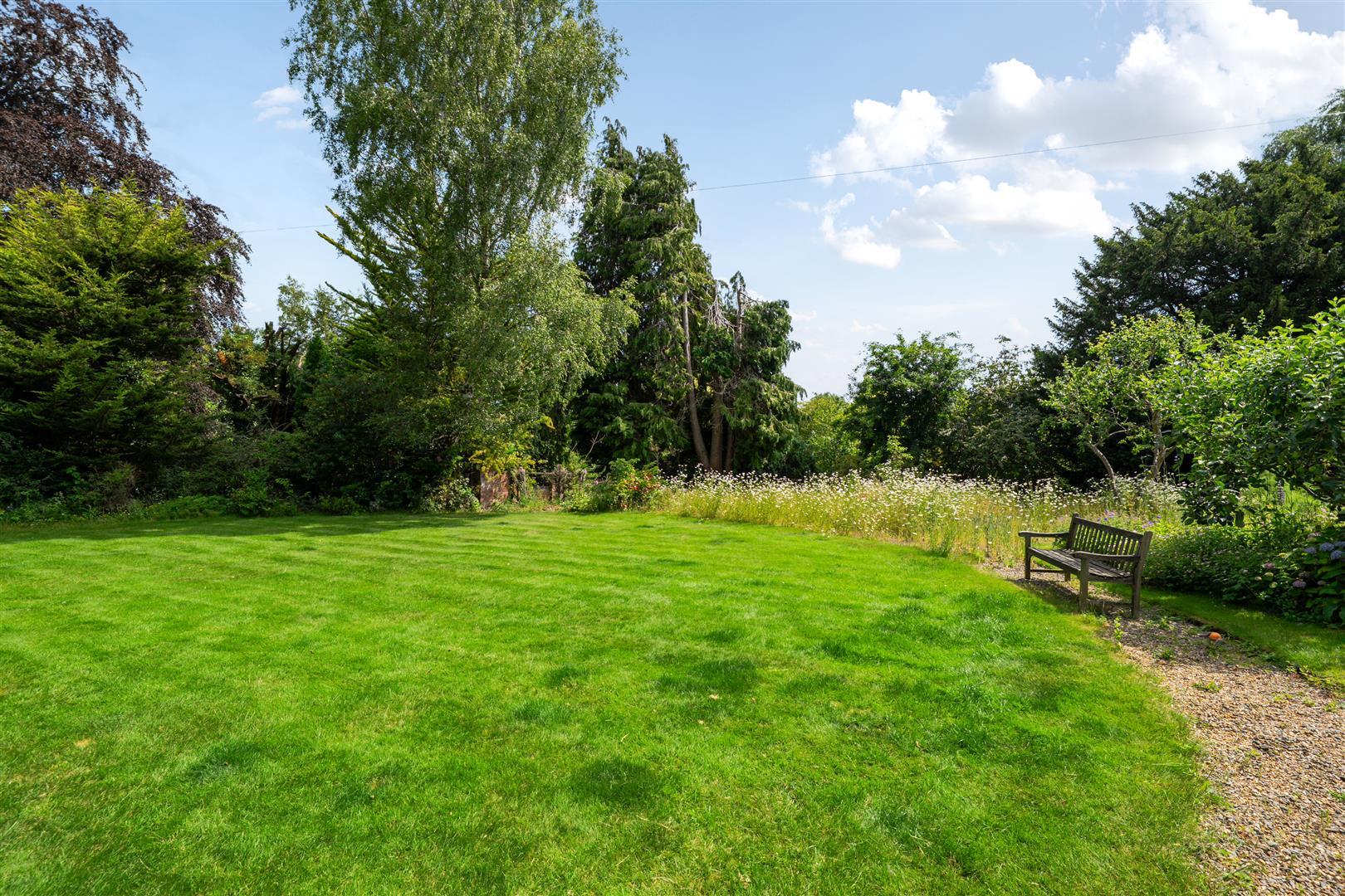 Property Image d97bedeb-be72-47b2-a97e-9af712f3e85d