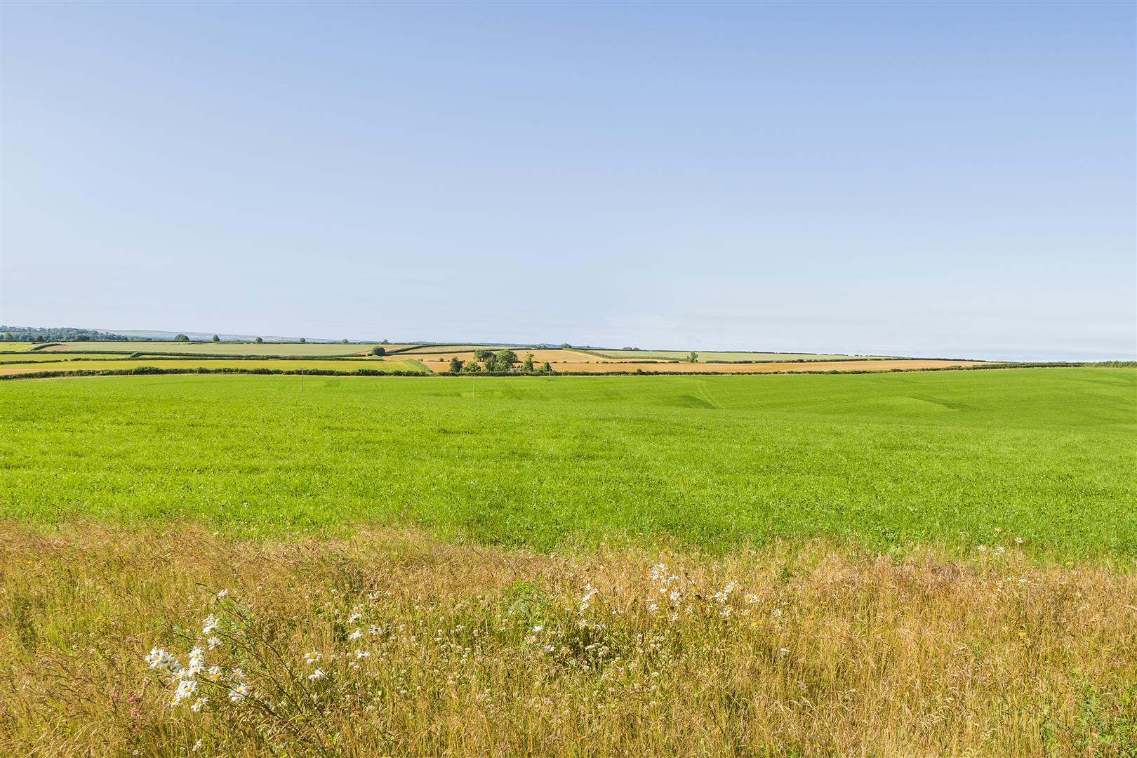 Property Image d98368aa-5fa2-464c-8e95-4fd585c46ee3