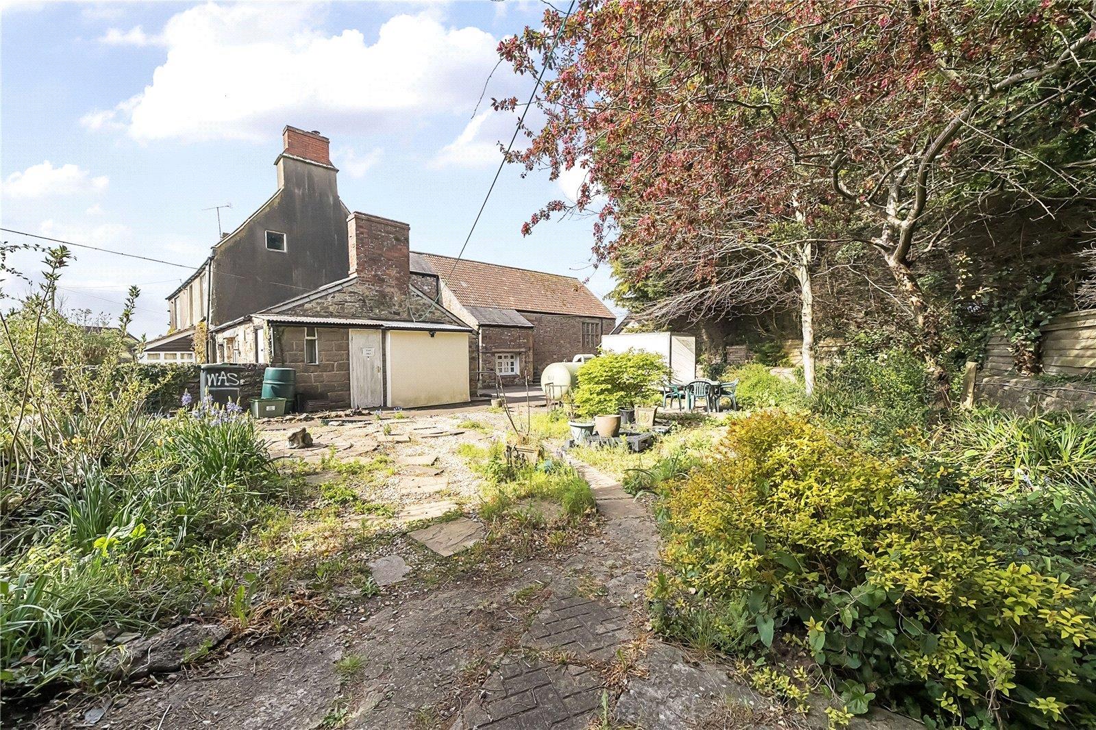 Image 20