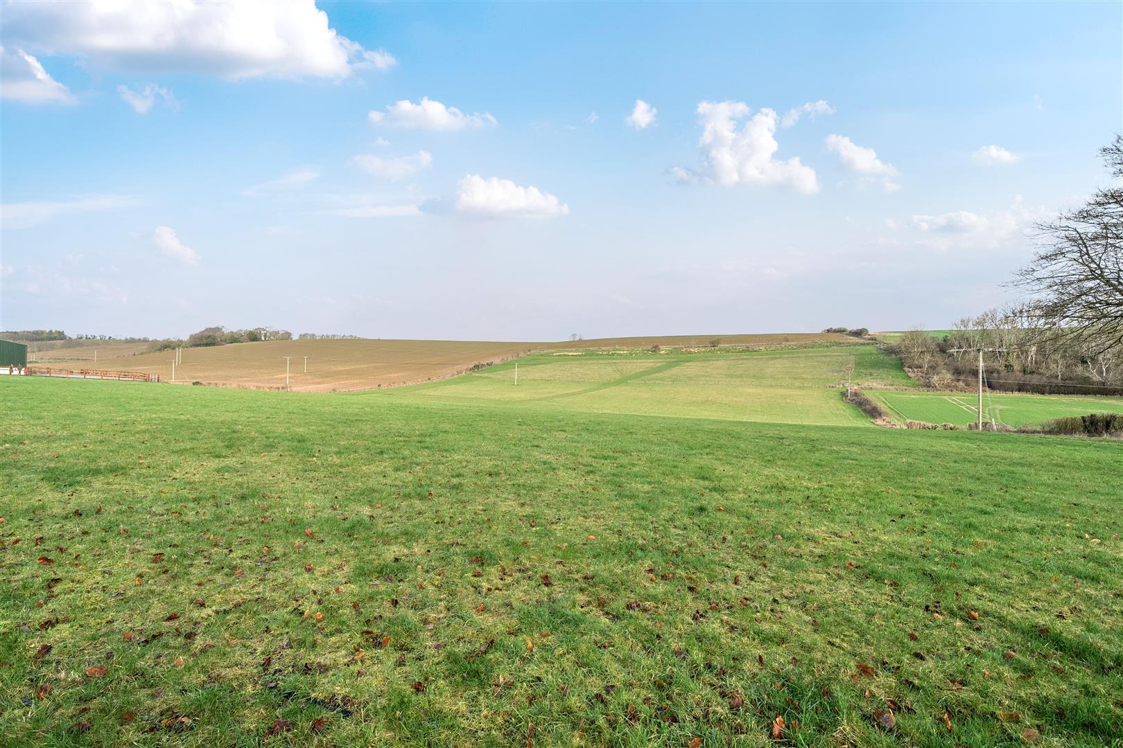 Property Image d9a07342-5cb8-49b3-b9f7-63183eead931