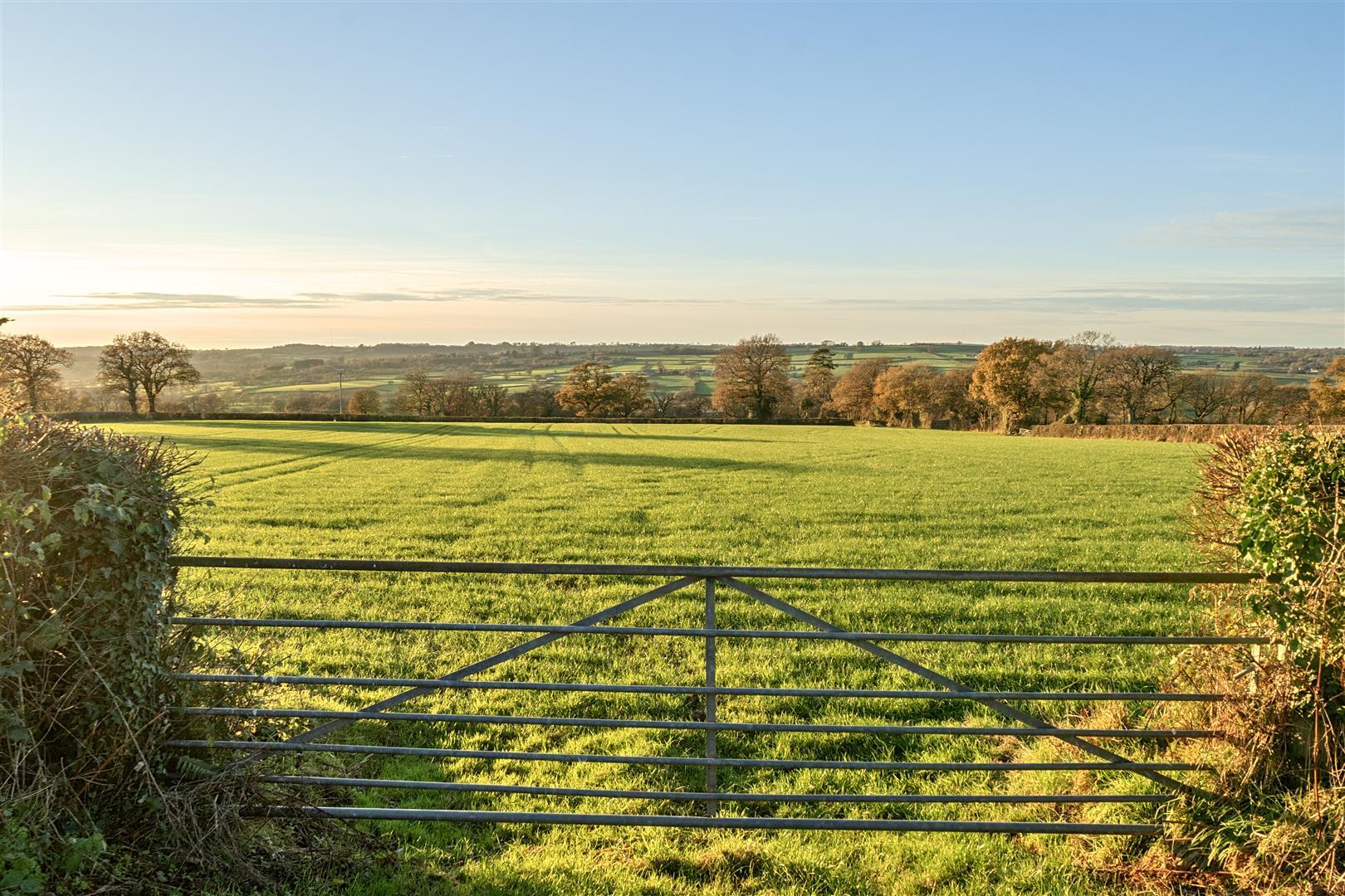 Property Image d9a62819-fb74-4320-b915-27034e3130d4