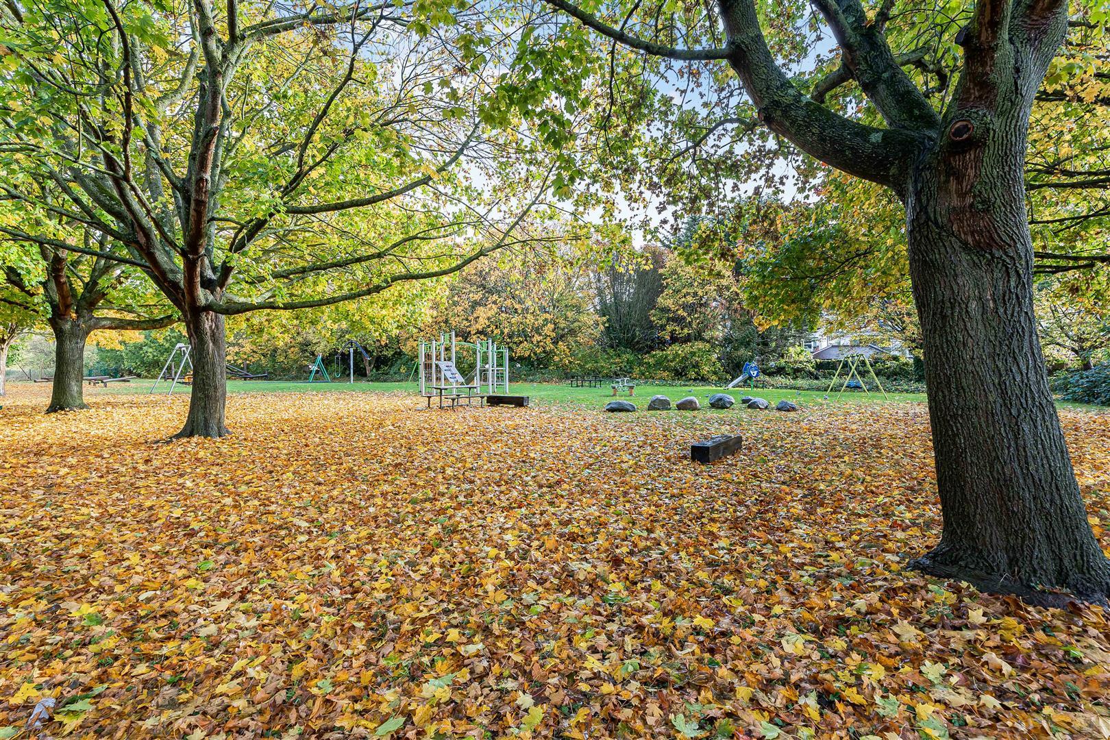 Property Image d9bf55e7-7a5c-4eb8-96d6-6afb16372860