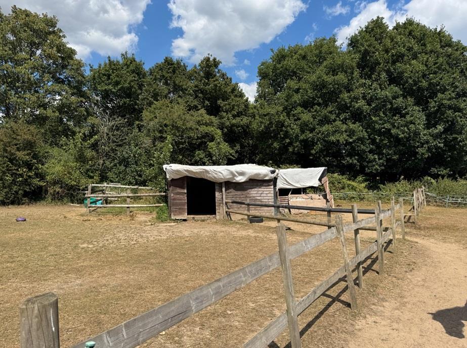 Property Image d9f99210-dcd9-4235-92d3-cd1d806e6d6e