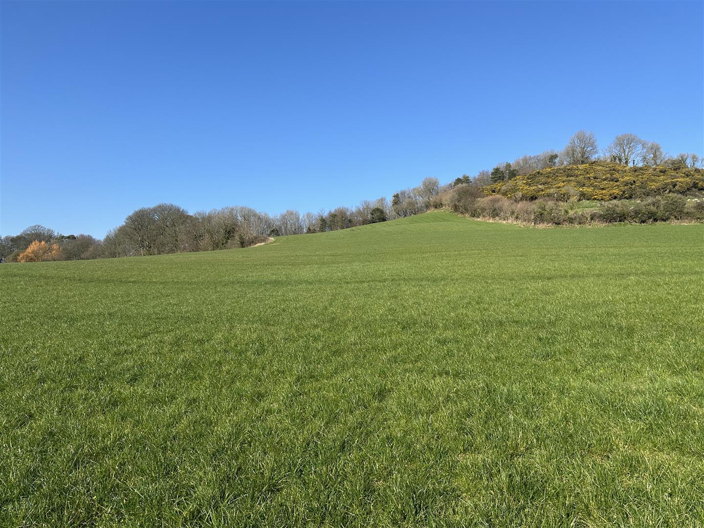 Property Image da00ebdf-7d66-4438-a128-c7edee97fe9d