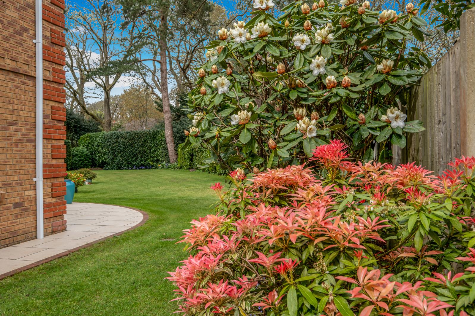 Property Image da12e0db-fe0d-4276-b63a-0c8684b26736