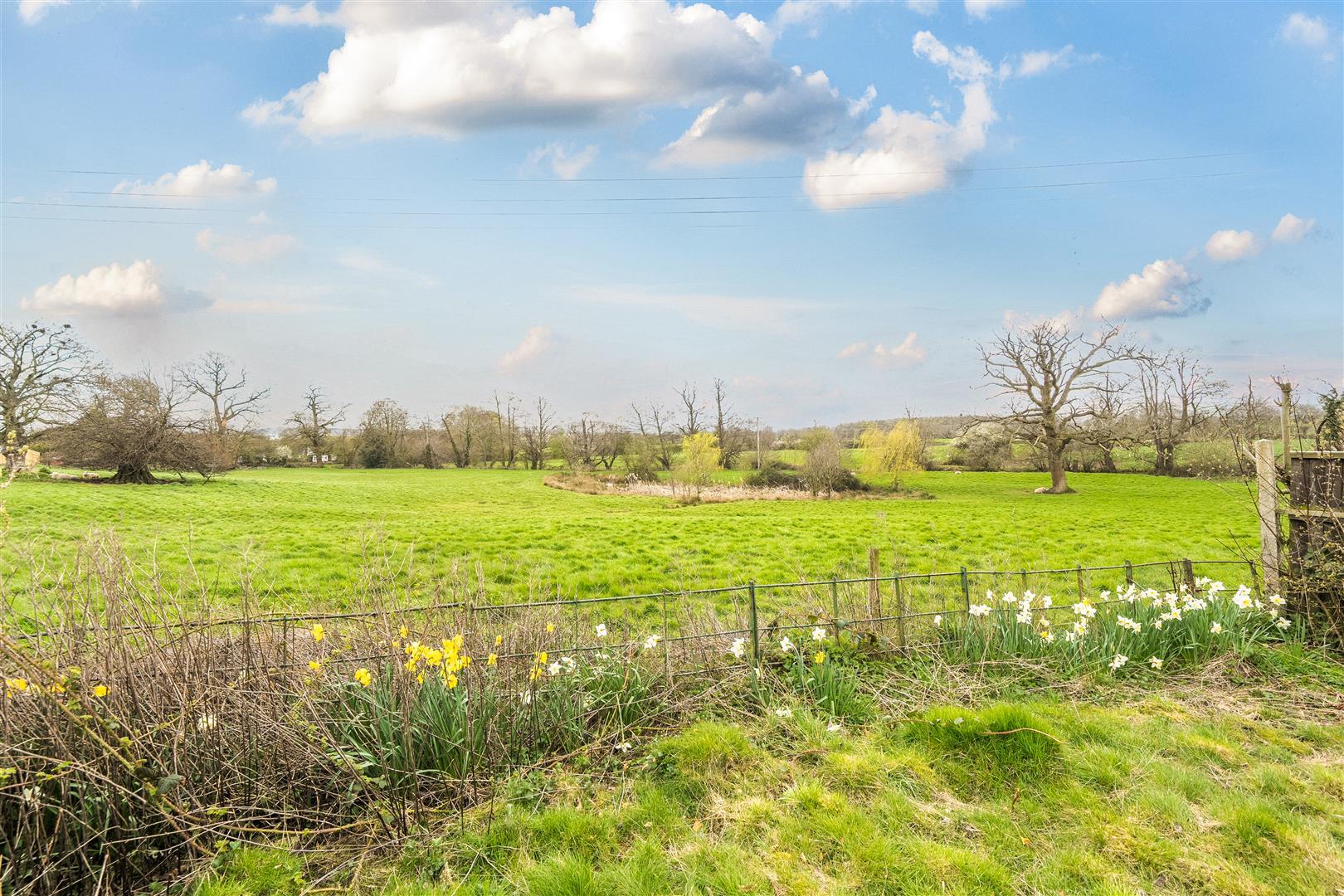 Property Image da361667-dd53-49b7-a65a-ee15a6a11256