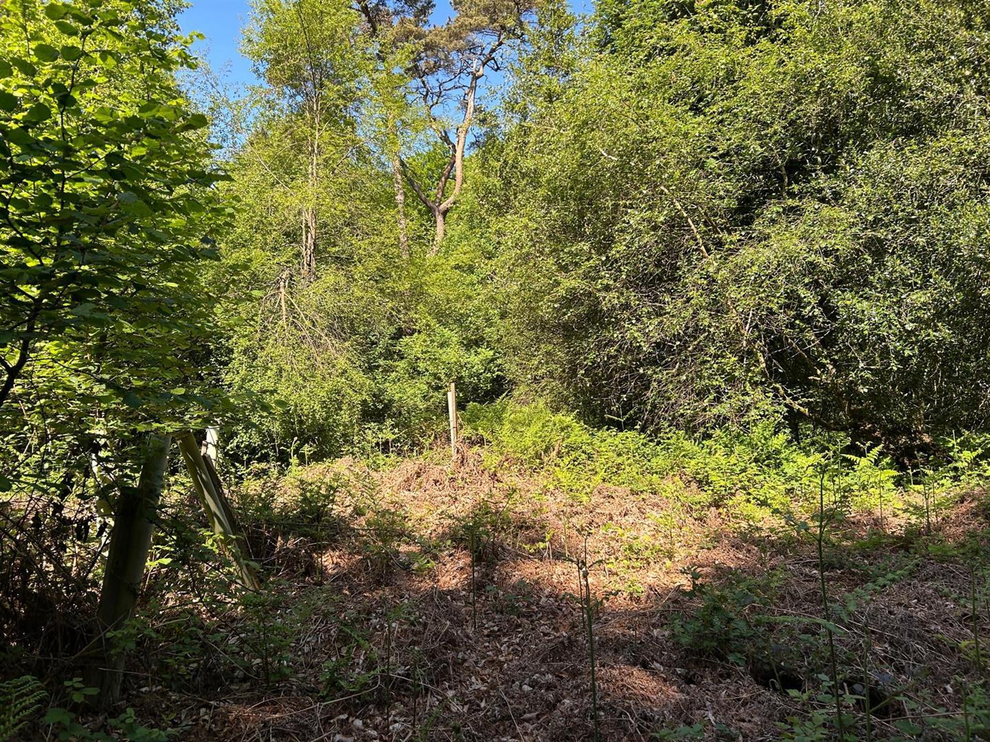 Property Image da480c1b-0a3e-4aa8-8bc8-8bc202a0f537
