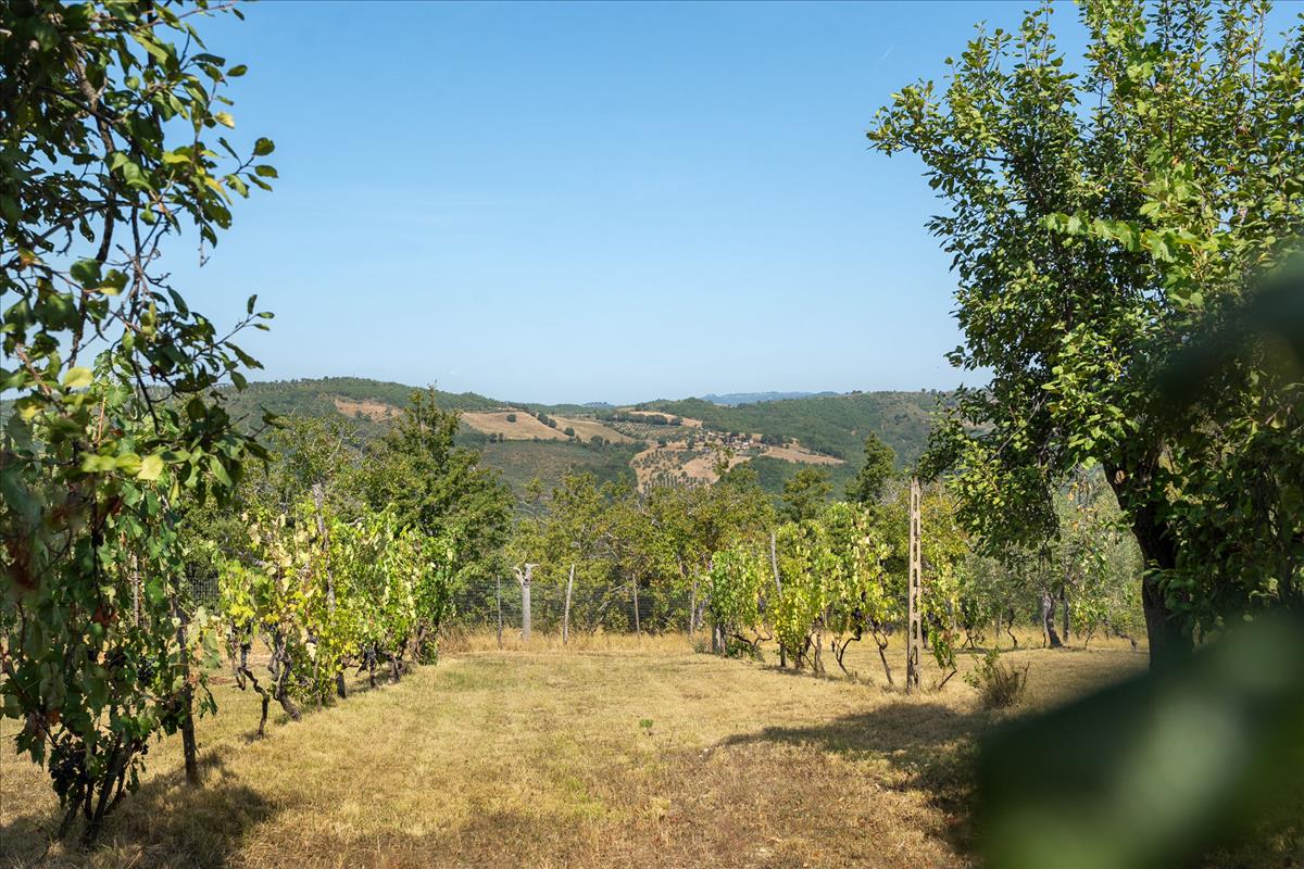 Property Image da65098e-acfc-496a-a808-8ea629285105